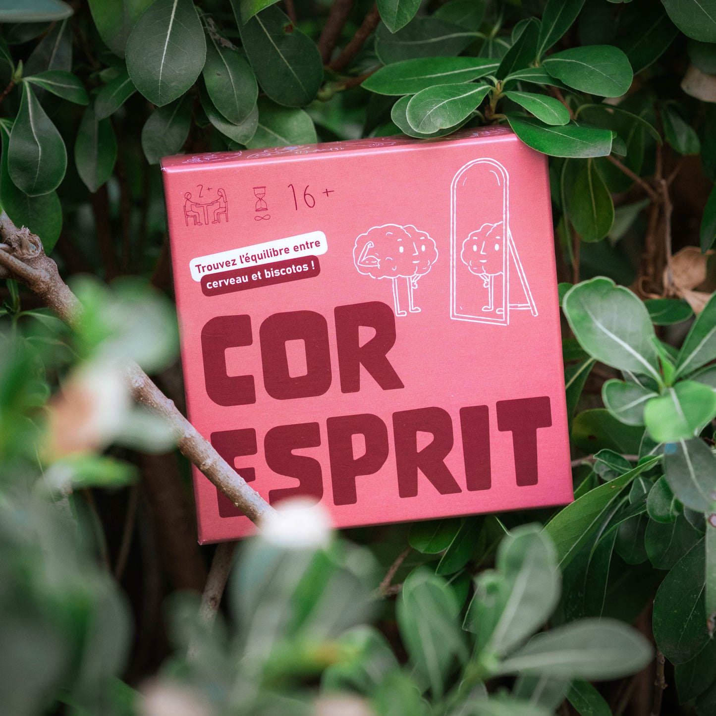 CORESPRIT